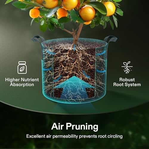 VIVOSUN 10-Pack 7 Gallon Plant Grow Bags, Heavy Duty Thickened Nonwoven Fabric Pots with Handles