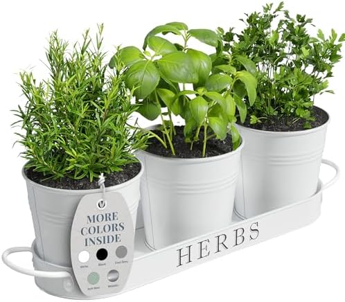 Barnyard Designs Indoor Herb Garden Planter Pots with Tray Set/3 (White)