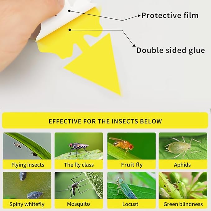 72 Pcs Multi-Sized Sticky Trap For Fungus Gnat (Plants), Flying Insect, Fly, Beautify & Liveliness, Usable In Various Size Pot, Yellow Insect Trap For Indoor, Outdoor, Kitchen & Plant, 3-Shape, 3-Size