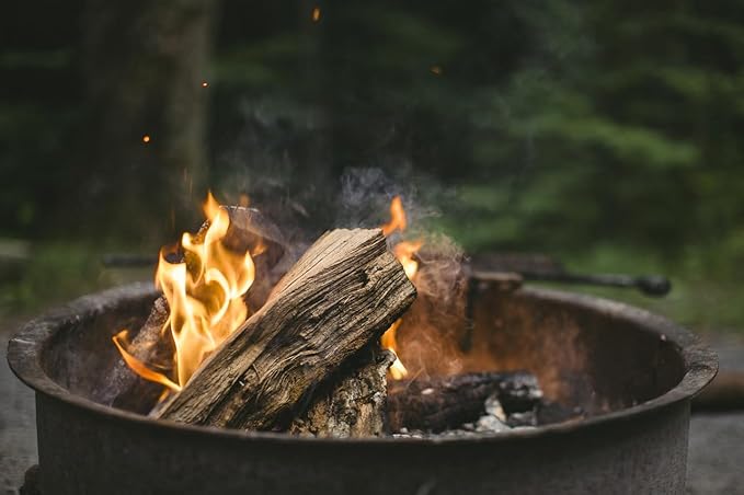 Wilson Maple Split Firewood - Seasoned Natural Kiln Dried Fireplace, Fire Pit, Bonfire Logs (XL)
