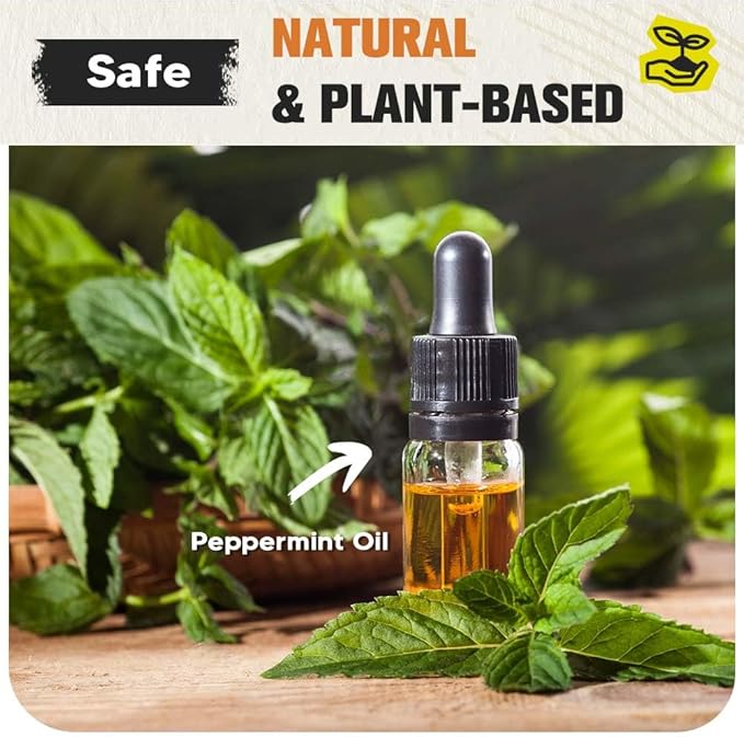 Pest Control, Mouse Repellent Indoor, Rodent Repellent Indoor/Outdoor, Mice Repellent Indoor, Natural Rat Repellent for House, Keep Mice, Roach, Ant and Spider Away from Home, Mouse Deterrents- 12P