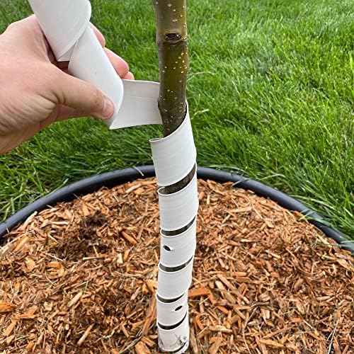 Master Mark Plastic Tree Wrap, Tree Trunk Protector, 2 Pack Spiral Guard