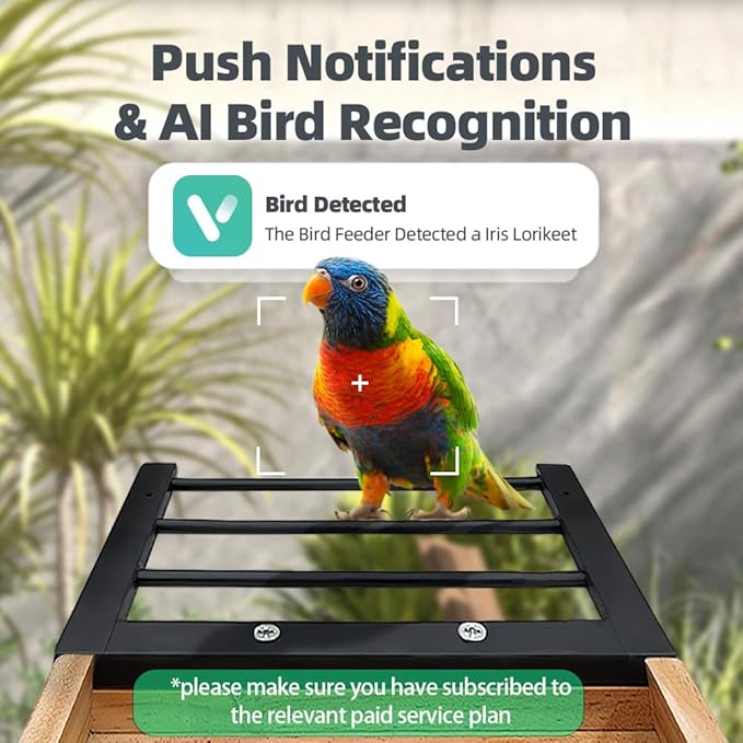 Smart Bird Feeder with Solar Camera - AI Bird 1000+ Species Recognition, 2K HD Live Stream, Real-Time Notifications & Video Recording for Outdoor Birdwatching