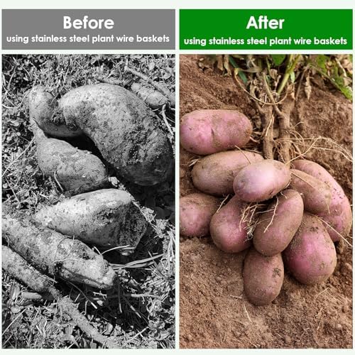 20pcs Plant Root Guard Gopher Baskets 1 Gallon Size Resistant Stainless Steel Plant Wire Baskets Gophers Voles Moles Mesh Baskets to Protect Plant Roots Tubers Trees Flowers