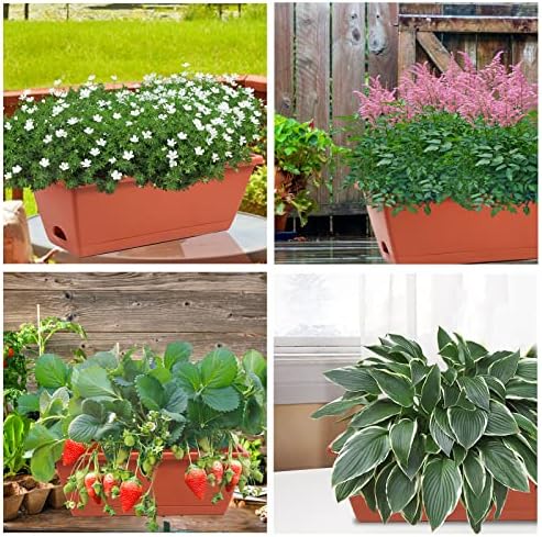 8pcs Window Box Planter,Rectangle Planters Box,Plastic Vegetable Planters