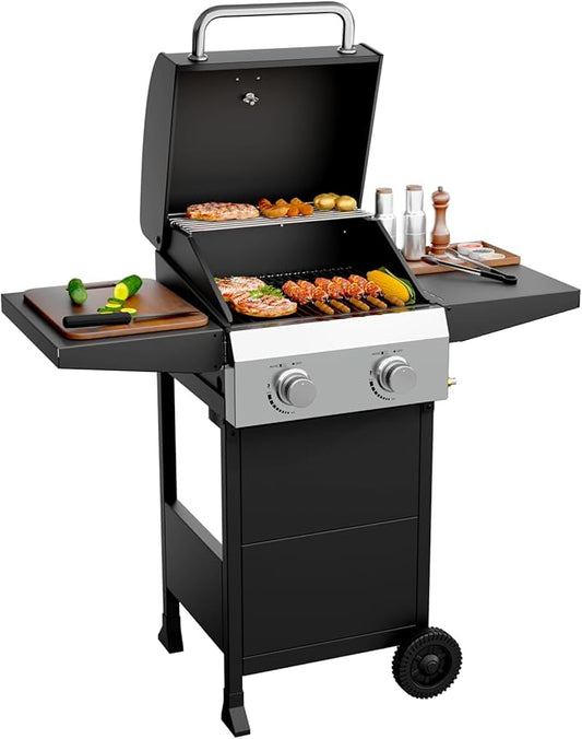 ROVSUN 2 Burner Propane Gas Grill with Foldable Side Shelves, 24000BTU BBQ Grills with Enameled Cast Iron Grates, Cabinet & Poratable Rolling Wheels for Outdoor Garden Patio Backyard Barbecue Cooking