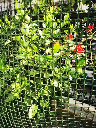 PotatoLife Green Plastic Garden Fence, Hardware Mesh, 40'' x 25'