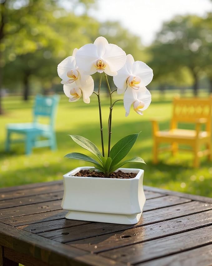 OXART Ceramic Plant pots Indoor Pots Set with Drainage Holes, 12+9 inch Flower Pot Rectangle Planters Pots for Plants for Plants Lilies, Cacti, Succulents, and Pothos, No Trays (White-4)