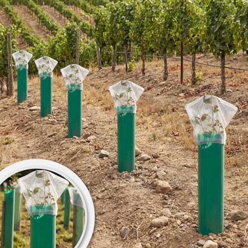 SATINIOR 60 Pcs Seedling Protector Mesh for Tree Tube