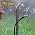 Thiswing 100 FT 360° Adjustable Irrigation System with Stake Holders