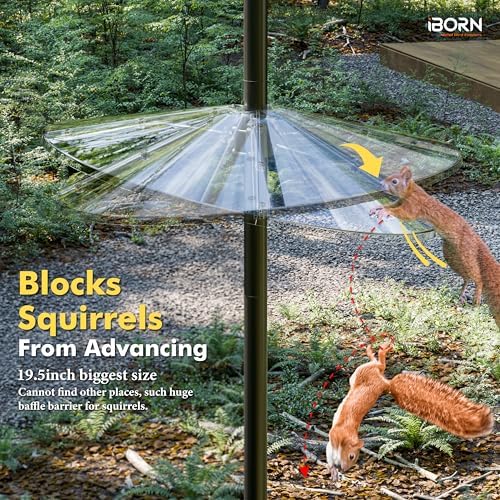iBorn Squirrel Baffle for Bird Feeder Pole, 19.6” Oversized Squirrel Guard Defender, Bird Feeder for Outdoors Protector, Polycarbonate(PC), Pack of 1, Clear