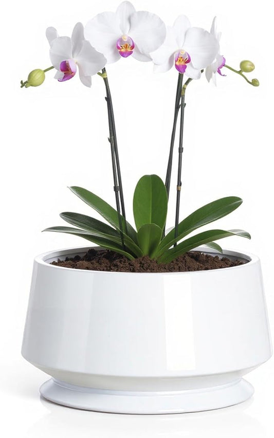 OXART Plant Pot, 7.8 inch Ceramic Plant Pots Indoor Plants with Drainage, Modern White Planters for Outdoor Plants, Outdoor Flower Pots for Succulent, Snake Plant and Pothos Home Office, White