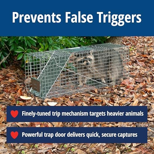 Havahart Large 1-Door Live Animal Trap for Raccoons, Cats, Bobcats, Beavers