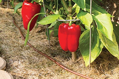 Rain Bird ET256-50S Drip Emitter Tubing, 1/4"