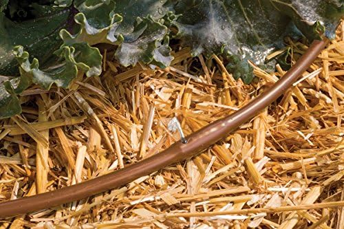 Rain Bird Emitter Tubing, 1/4" | Pressure Compensating | 6" Spacing | 50 ft Roll | Brown