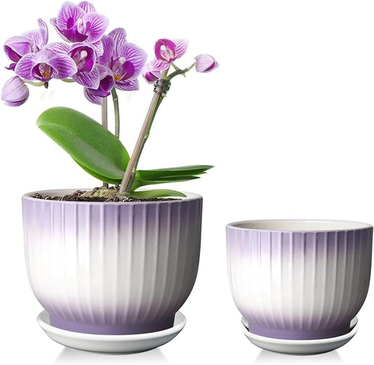 6.7 + 5.5 Inch Ceramic Plant Pots,Planters with Drainage and Saucer,Indoor Pots for Plants,Decorative Orchid Pots Set of 2（Purple + White）