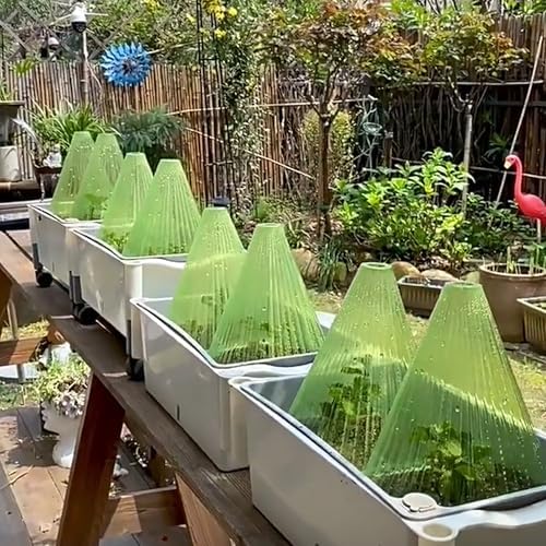Garden Cloches for Plants - Reusable Clear Plant Protectors, PET Plant Bell CoverFrost & Pest Protection for Vegetables, Seedlings, Outdoor Gardens (Transparent,20)