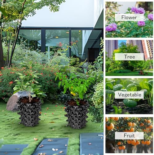 RooTrimmer 1 Gallon Air Pruning Containers, New Plastic Nursery Pots, Fruit Vegetable Garden Self-Planting Pots, Black (1G-10P)