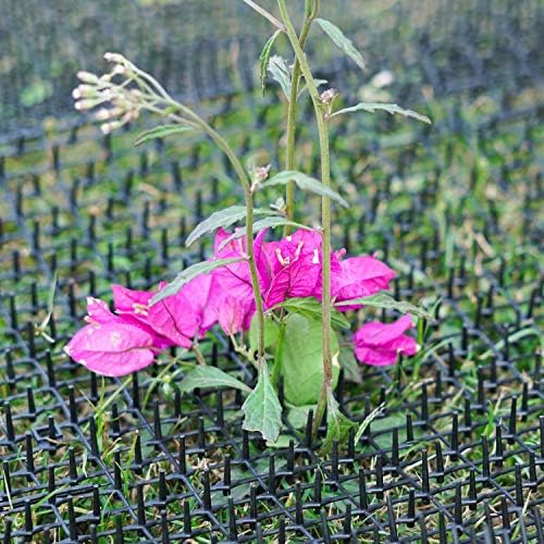 Pomeat 10 PCS Scat Mat for Cats Indoor 16" x 12" with Spikes Sprickle, Digging Deterrent for Dogs, Outdoor for Garden and Fence with 7 Staples