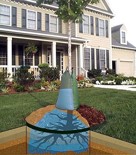 Treegator Original Slow Release Watering Bag for Trees, The Original Tree Watering Bag, Ideal for new or established trees, Fits trees from 1 to 8 inches in trunk diameter, Made in USA, Green