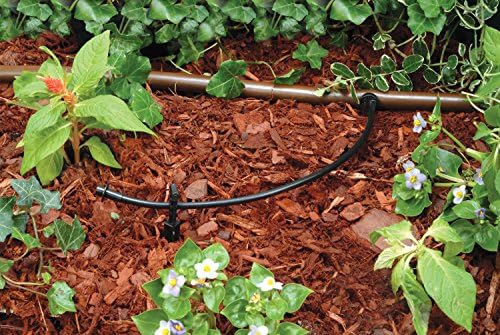 Rain Bird T22-250S Drip Irrigation 1/4" Blank Distribution Tubing, 250' Roll, Black (Pack of 4)
