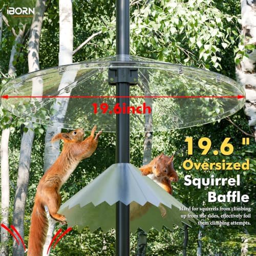 iBorn Squirrel Baffle for Bird Feeder Pole, 19.6” Oversized Squirrel Guard Defender, Bird Feeder for Outdoors Protector, Polycarbonate(PC), Pack of 1, Clear