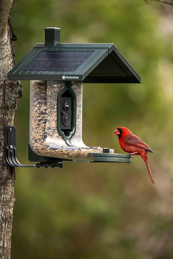 Smart Bird Feeder: AI Bird ID, Solar Power, Wi-Fi Connectivity, Sends HD Pictures and Videos to Your Phone, Two Seed Bins, Multiple Mounting Options - Best Smart Bird Feeder