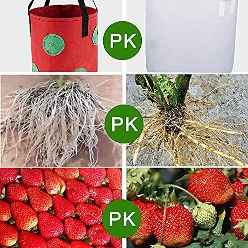 Upside Down Tomato Planter-3 Gallon Hanging Strawberry Planter Durable Aeration Fabric Grow Bags for Vegetables (Set of 2- Red and Green)