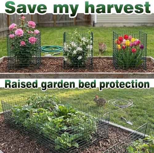 8 Pack Extra Tall Plant Protectors from Animals, 12"x24" Wire Garden Cages for Large Plants Shrubs, 2mm Heavy Duty Metal Mesh Guard for Deer Rabbits, Reusable Garden Protection with Stakes