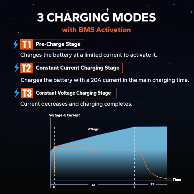 LiTime 24V 20A LiFePO4 Battery Charger, 29.2V Smart Charger with 0V Activation Function, AC-DC Lithium Charger with Anderson Connector & LED Indicator for RVs, Off-Grid, Homes, and Solar Systems