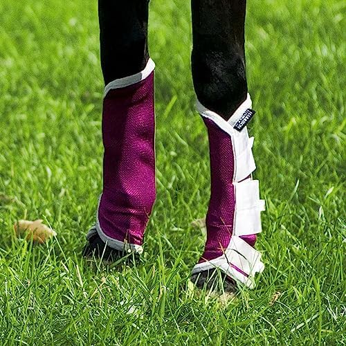 Harrison Howard Horse Fly Boots Leg Guards Fly Boots Protection Set of 4 Amethyst Large Full Size