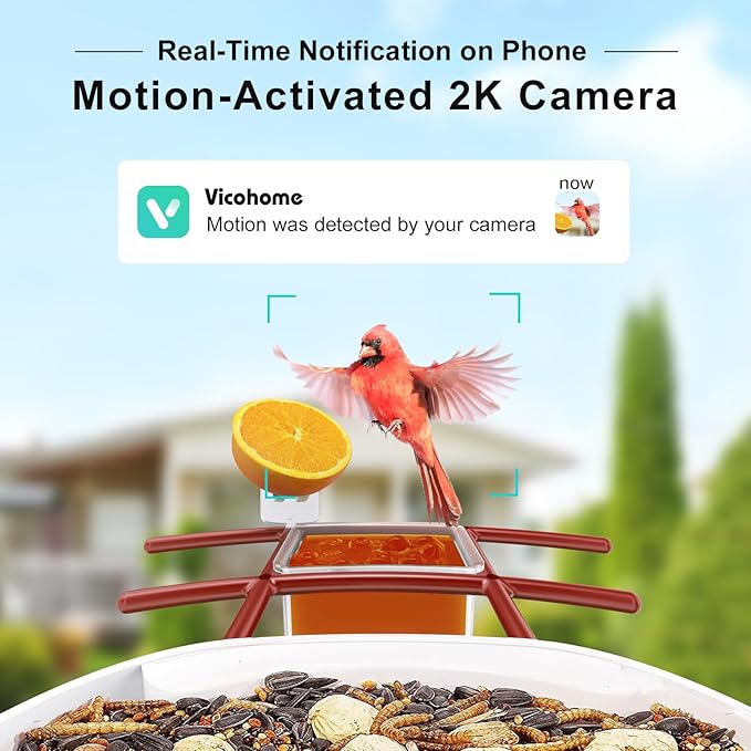 birdsnap® TUC Smart Bird Feeder with Camera 2K HD, Solar Panel 32GB Card 4-in-1 Perch, 160°View Auto Detect & Notify AI Identify Video Bird Camera Wireless Outdoors Ideal Gift for Birds Lover