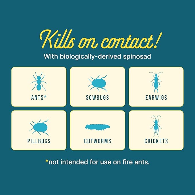 Sunday Ant Adios - Bug & Ant Killer - Outdoor Insect Control Uses Spinosad to Eliminate Ants, Earwigs, Cutworms, & More - for Organic Gardening - Treats 4,000 sq ft - Results in 3-14 Days - 2lbs