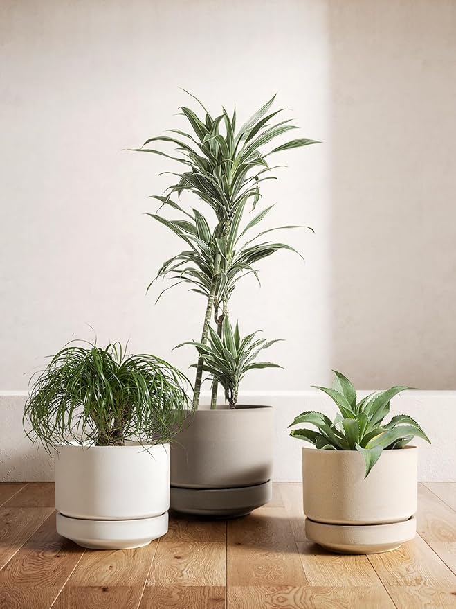 LE TAUCI 12 Inch Pots for Plants with Saucer | Ceramic Outdoor & Indoor Planter Pot for Plants | Drainage Hole, Mesh Pad & Plug | Unglazed Porous | Modern for Home, Office and Patio – Speckled Oat