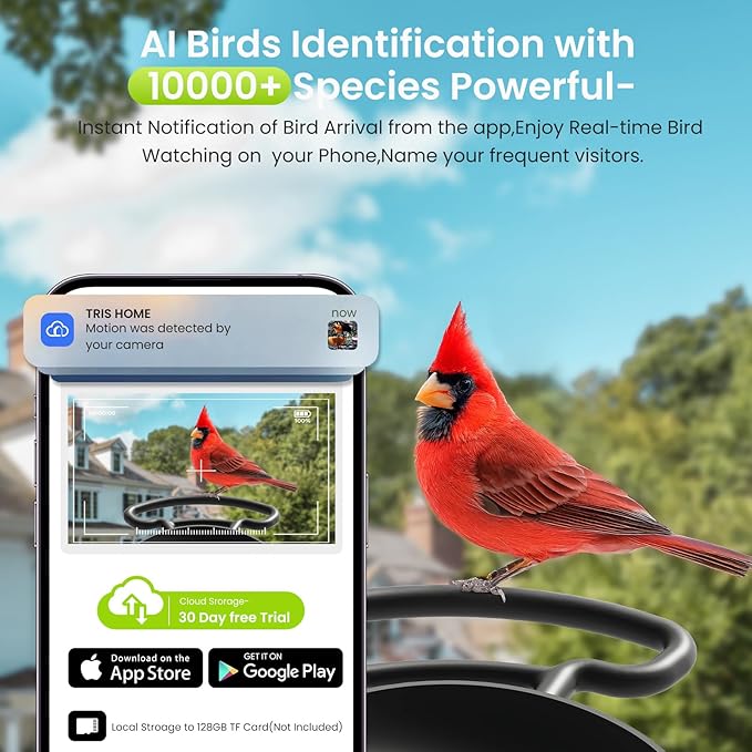 LONA Smart Bird Feeder with Camera, Dual-Lens, Solar-Powered, Wireless Birdwatching, Permanent AI Identify 10000+ Bird Species & Motion Detection, Gift Present