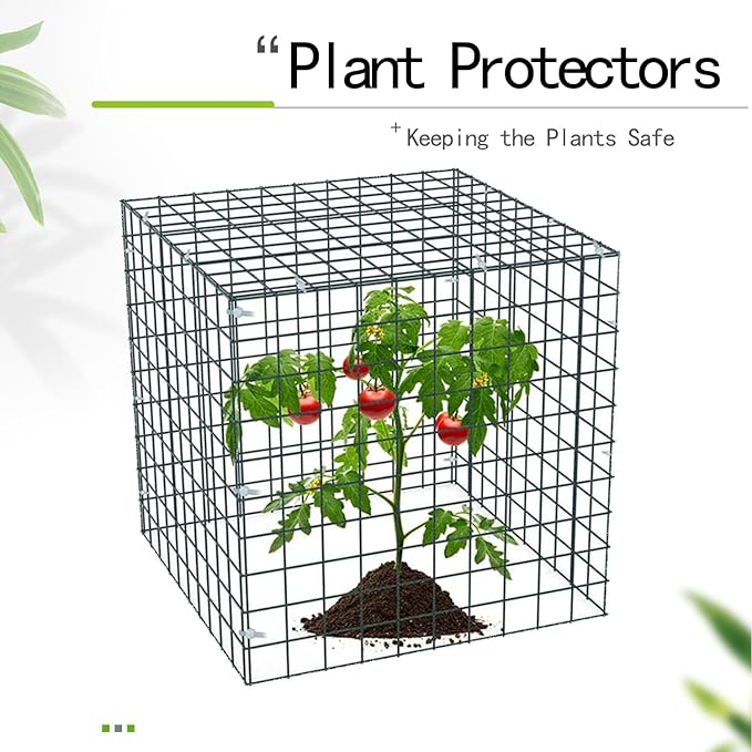 Small Wire Plant Protector, 6 Pack Black Chicken Wire Cloche Plant Protectors for Garden, Iron Wire Mesh Plant Cages for Plants and Vegetables to Protect from Rabbits,Dogs,Chickens and Other Animals