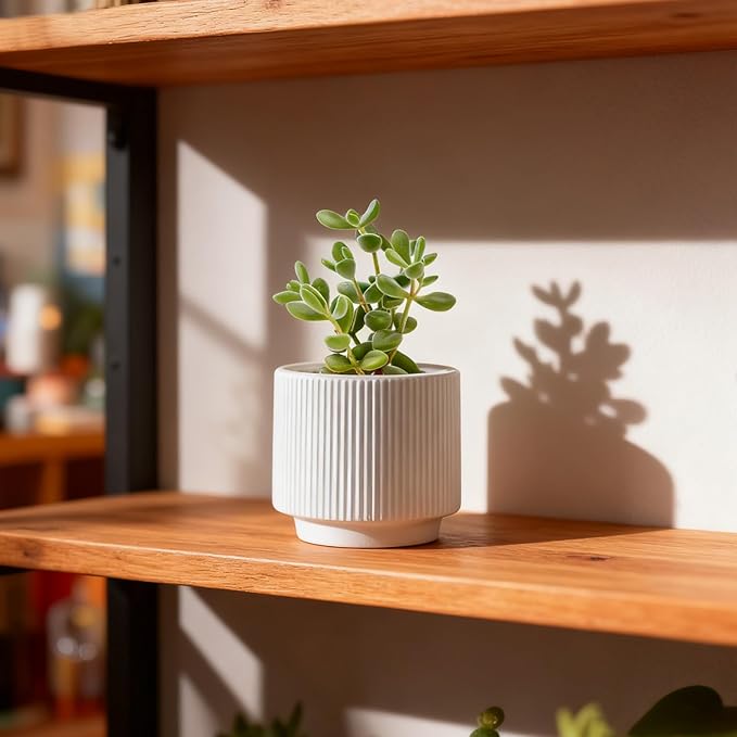 OXART Large Plant Pot, 10/8/6 Ceramic Pots for Plants with Drainage, 3 Piece Planters for Indoor Plants, Home Garden Flower Pots for Outdoor Cacti, Succulents, Snakes, and Pothos, White