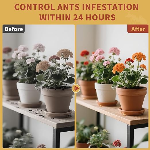 Ant Bait Gel Indoor and Outdoor Ready to Use Ant Control 30 Grams