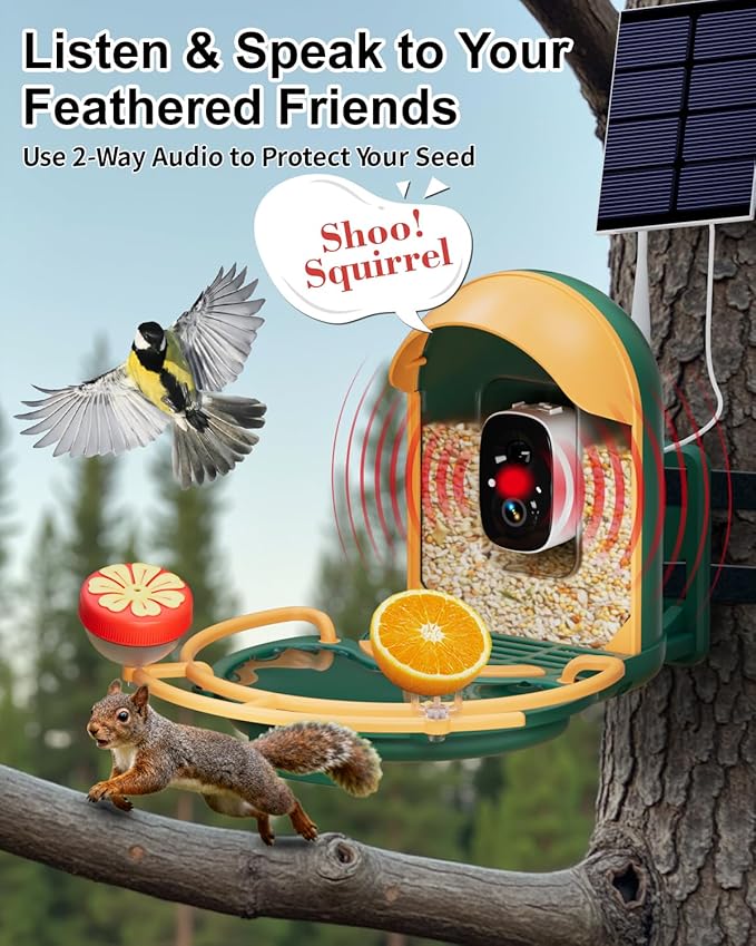 Bird Feeder with Camera, Smart Birdfeeder with Cam Solar Powered, 2K HD Video, AI Identification, Instant Arrival Alerts, IP66 Bird Bath & Feeder,Gift for BirdLover (with BirdBath, Dark Green)