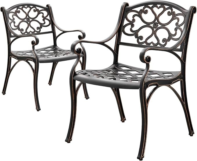 Outdoor Dining Chairs Set of 2, Cast Aluminum Patio Chairs Set with Armrest, Bistro Chairs Outdoor for Garden, Porch, Backyard