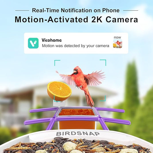 birdsnap® TUC Bird Feeder with Camera 2K HD, Solar Panel 32GB Card 4-in-1 Perch, 160°View Auto Detect & Notify AI Identify Video Bird Camera Wireless Outdoors Ideal Gift for Birds Lover
