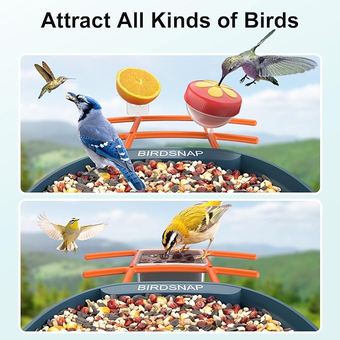 birdsnap® PAV-Bird Feeder with Camera 2K HD, 64GB Card, AI Identify Bird Species Smart Bird House with Camera Solar Powered, Record Video Live View, Auto Capture, Ideal Gift for Birds Lover