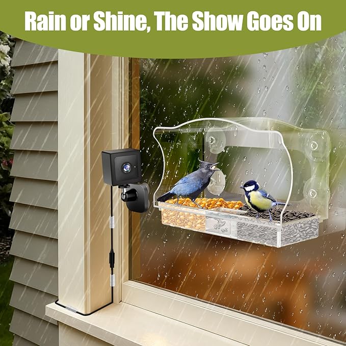 Freesason Waterproof Smart Bird Feeder Camera with AI Bird Recognition, 2K HD All-Weather Window Mount for Outdoor Viewing - The Ultimate Gift for Birds Watchers
