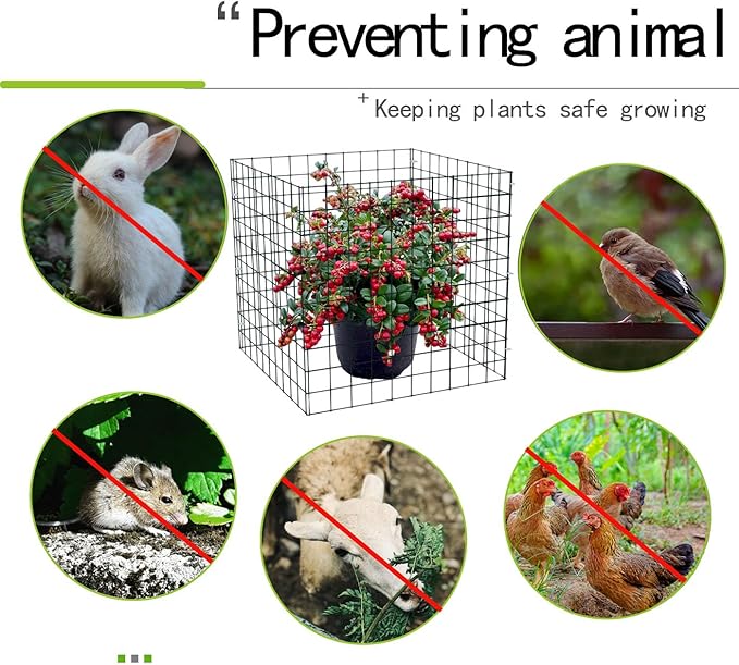 Small Wire Plant Protector, 6 Pack Black Chicken Wire Cloche Plant Protectors for Garden, Iron Wire Mesh Plant Cages for Plants and Vegetables to Protect from Rabbits,Dogs,Chickens and Other Animals