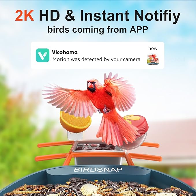 birdsnap® PAV-Bird Feeder with Camera 2K HD, 64GB Card, AI Identify Bird Species Smart Bird House with Camera Solar Powered, Record Video Live View, Auto Capture, Ideal Gift for Birds Lover