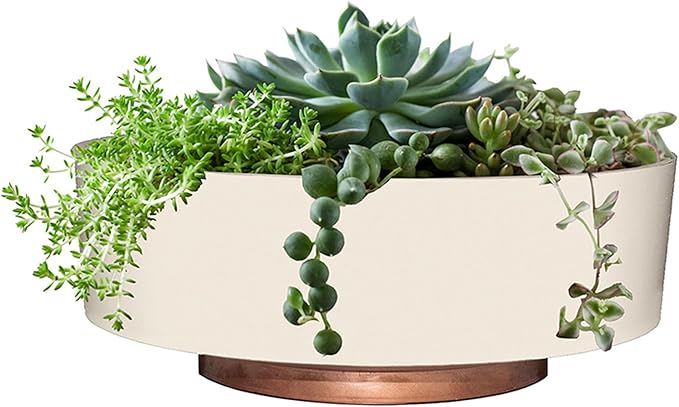 The HC Companies 8 Inch Round Plastic Capri Bowl Decorative Indoor Flower Succulent Planter Pot with Drain Plug Hole, Vanilla Bisque (2 Pack)