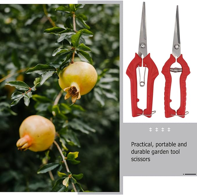 2Pcs Branch Pruning Shear Garden Scissors with Comfortable Handles for Fruit Picking and Plant Trimming and Labor-Saving Clippers for Orchards Yards and Gardens Red