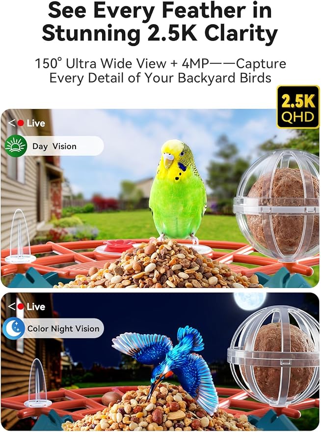 2.5K Smart Bird Feeder with Camera Solar Powered, AI Bird Species Identification, Auto Squirrel Deterrent, Real-Time Video Notifications, Weatherproof, Ideal Gift for Family and BirdLovers, Navy Blue
