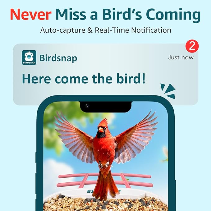 birdsnap® TUC Bird Feeder with Camera 2K HD, Solar Panel 32GB Card 4-in-1 Perch, 160°View Auto Detect & Notify AI Identify Video Bird Camera Wireless Outdoors Ideal Gift for Birds Lover