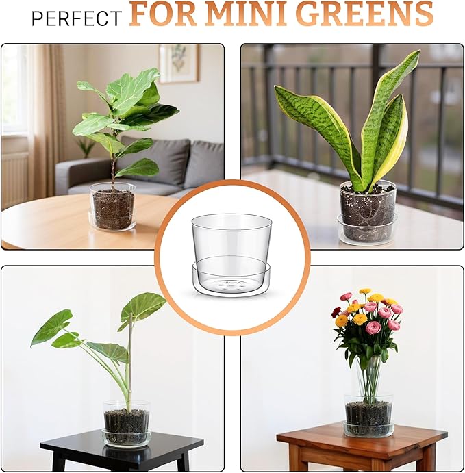 Sheer Glass Pot Planter with Drainage Holes & Tray - Decorative & Modern for All House Plants (8 Inches)